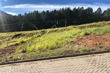 Terreno em Loteamento em Riozinho