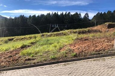 Terreno em Loteamento em Riozinho