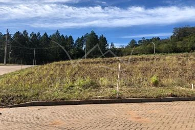 Terreno em Loteamento em Riozinho