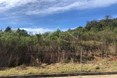 Terreno em Loteamento em Riozinho