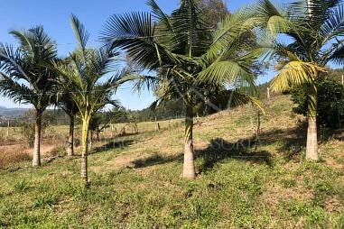 Terreno em Rolante