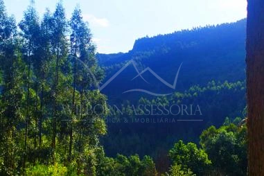 Fazenda em Riozinho