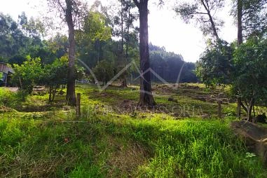 Terreno em Riozinho