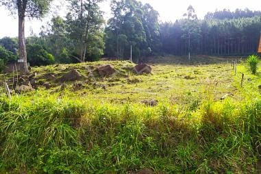 Terreno em Riozinho