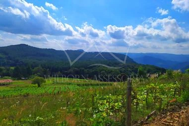 Terreno em Riozinho