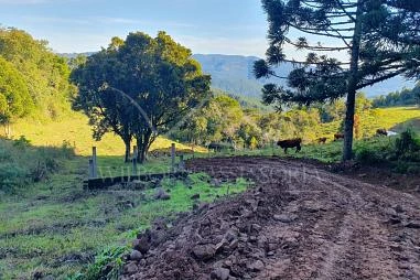 Terreno em Riozinho