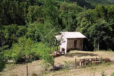 Sítio em Riozinho