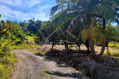 Terreno em Riozinho