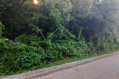 Terreno em Riozinho