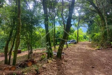 Terreno em Riozinho