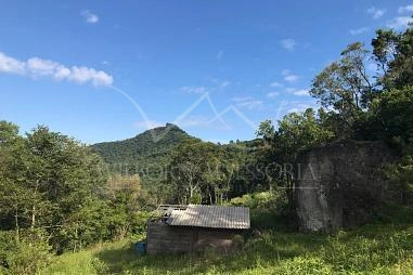 Terreno em Riozinho
