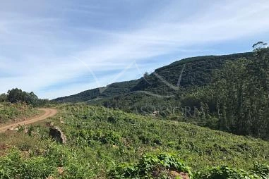 Terreno em Riozinho