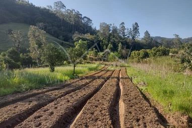 Terreno em Riozinho