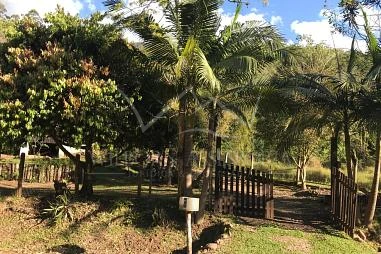 Sítio em Riozinho
