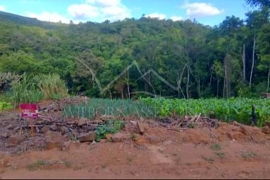 Terreno em Riozinho