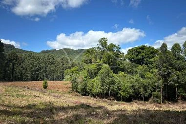 Terreno em Riozinho