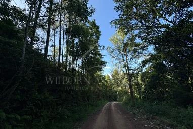Fazenda em Riozinho