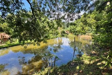 Sítio em Rolante