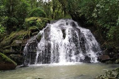 Sítio em Riozinho